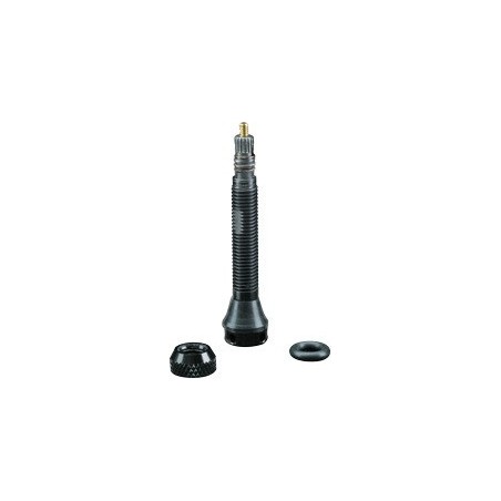 Schwalbe Tubeless Valves (Pair) 40mm TL Valve