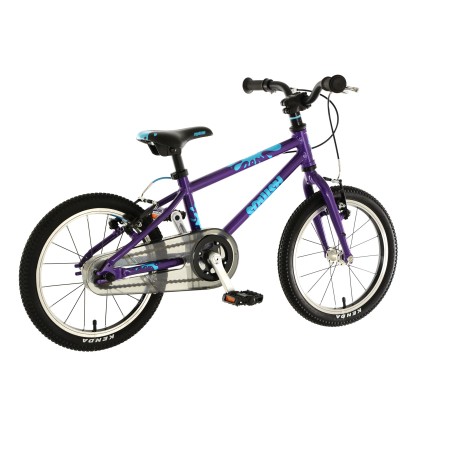 SQUISH 16 PURPLE/BLUE