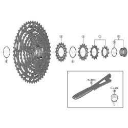 Shimano SPRE CSM9100...
